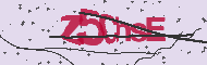 Captcha認証コード