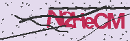Captcha認証コード