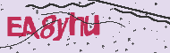 Captcha認証コード