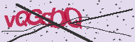 Captcha認証コード