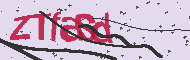 Captcha認証コード