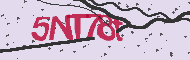 Captcha認証コード