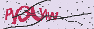 Captcha認証コード