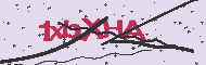 Captcha認証コード