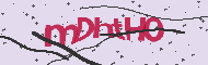 Captcha認証コード