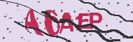 Captcha認証コード