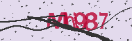 Captcha認証コード