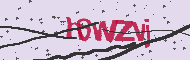 Captcha認証コード