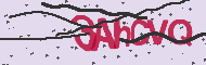 Captcha認証コード