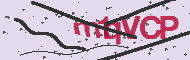 Captcha認証コード