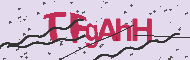 Captcha認証コード
