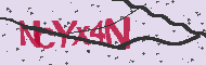 Captcha認証コード