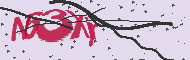 Captcha認証コード
