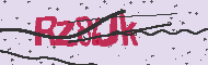 Captcha認証コード