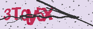 Captcha認証コード