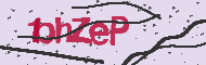 Captcha認証コード