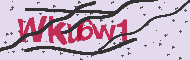 Captcha認証コード