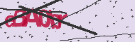 Captcha認証コード